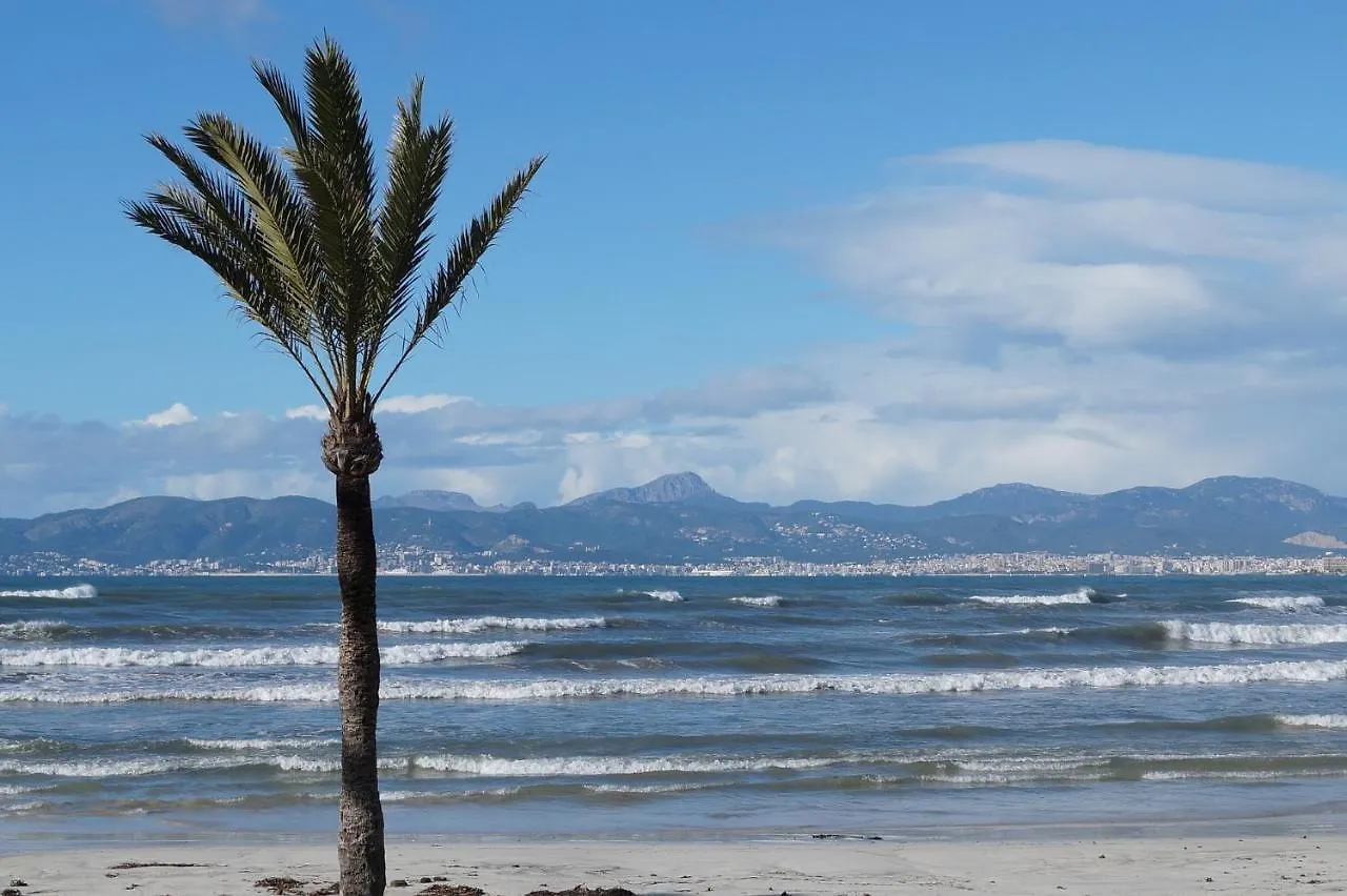 Villa Finca Bb Pool Beach Relax 10 Guests Palma